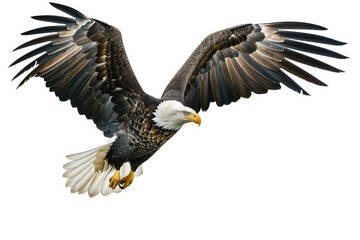 Fototapeta premium A bald eagle soaring through the sky with its feathers ruffled by the wind