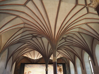 Sklepienie palmowe w komnacie zamkowej © EwaAF