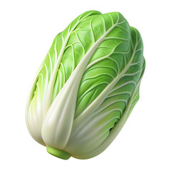 Fototapeta premium Napa cabbage Vegetable Hyperrealistic Highly Detailed Isolated On Plain White Background