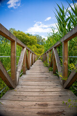 Obraz premium wooden bridge in the forest