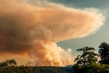 Obraz premium Photograph of controlled bush fire hazard reduction burning by the Rural Fire Service in the Blue Mountains in NSW, Australia.