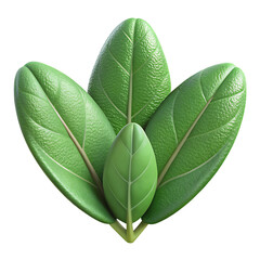 Obraz premium Sage leaves Hyperrealistic Highly Detailed Isolated On Transparent Background Png File