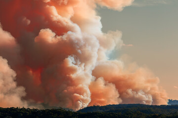 Photograph of controlled bush fire hazard reduction burning by the Rural Fire Service in the Blue Mountains in NSW, Australia.