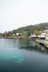 Foggy Newfoundland Landscape with ocean and mountains