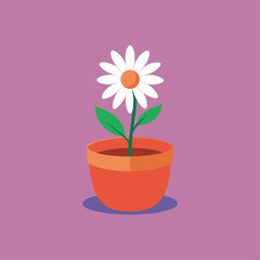 chamomile plant in a pot vector illustration