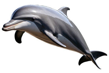 Obraz premium A majestic dolphin caught in mid-leap, expertly cut out for a transparent, white background png