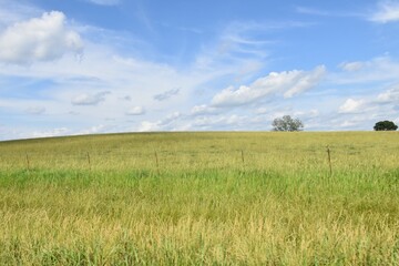 Clouds Over a Rural Field