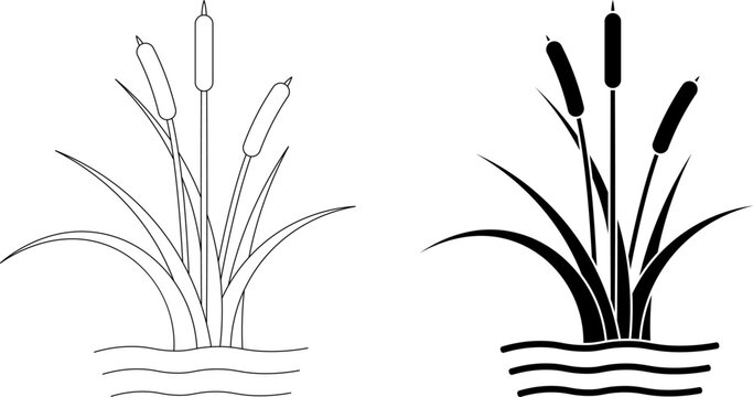 outline silhouette cattail icon set