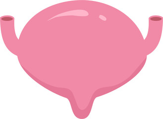 Human organ Illustration. Bladder clipart.