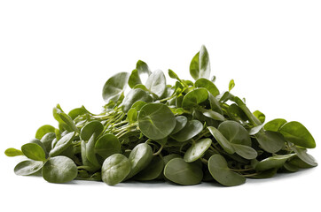 A heap of sunflower sprouts is depicted against a transparent, white background, providing a clean png image suitable for various projects