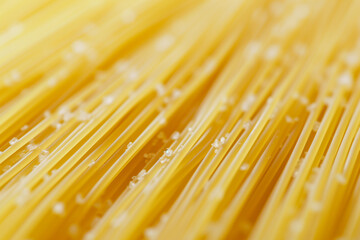 Diagonal spaghetti texture. Pasta close-up.


