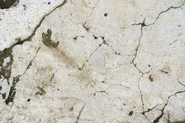 The photo shows a cracked concrete surface with small pebbles embedded in it.