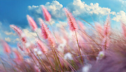 wild pink grass sways under a bright blue sky with scattered clouds, symbolizing freedom, growth, and the beauty of nature's delicate yet resilient life in spring and summer
