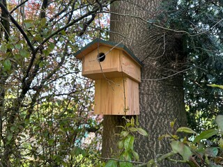 Beautiful wooden birdhouse hanging on tree trunk in park
