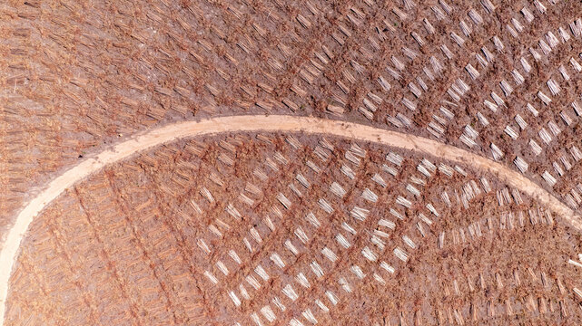 Aerial view of a farm in Brazil with eucalyptus trees cut and stacked for industry