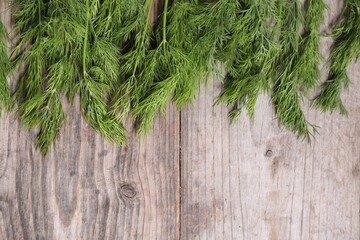 Sprigs of fresh green dill on wooden table, top view. Space for text