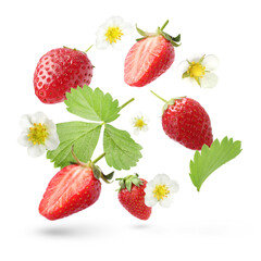 Ripe strawberries and flowers in air on white background