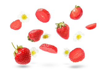 Ripe strawberries and flowers in air on white background
