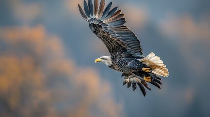 Obraz premium Majestic bald eagle in flight, soaring with an American flag waving in the background