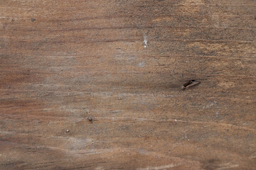 Old wooden texture for background that has natural cracks.