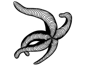 A vector illustration, a line art of a starfish  
