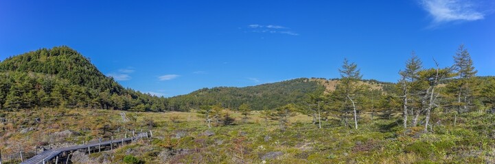 青空バックに見る池の平湿原の秋のパノラマ情景