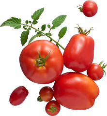 LAYER-LAB_0708181753_LC