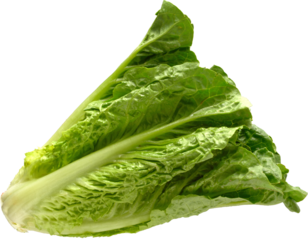 LAYER-LAB_0803210848_LC