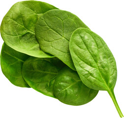 LAYER-LAB_1903211464_LC