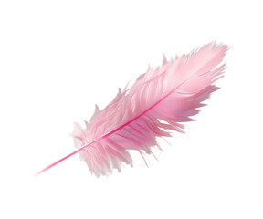Pink feather isolated on white background, a soft and fluffy pink feather, symbolizing nature and air, perfect for design 