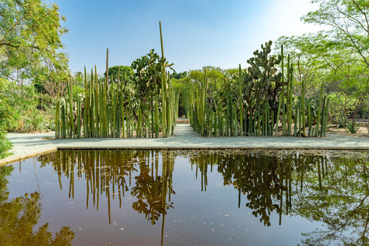 Jardin Etnobotanico