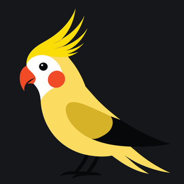 recommend clip art: Solid color outline Cockatiel animal vector design