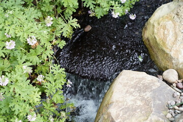 Hidden streams and waterfalls amongst the many plants