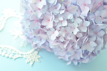 美しい紫陽花の花