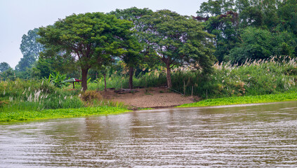 Several large green trees in the water under a stunning bright blue sky.oo1