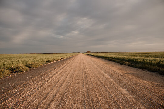 Straight gravel country road through emptiness of flat farmland