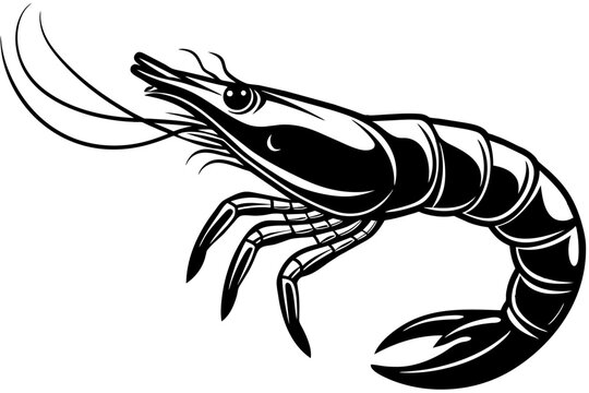 recommend clip art: Simple shrimp silhouette vector illustration 