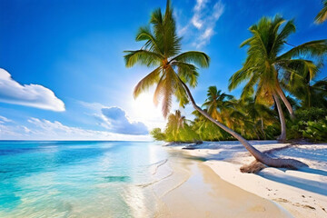 beach with palm trees © rabia