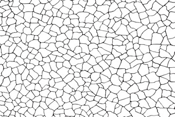 The cracks texture white and black. Vector background. Cracked earth. Structure of cracking.  
