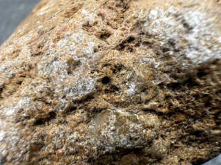 Close up of a textured brown rock.