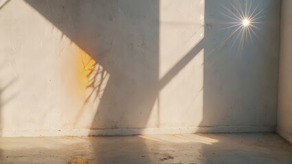 White Wall with Sunlight and Shadows