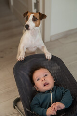 A dog rocks a cute three month old boy dressed in a blue onesie in a baby bouncer. Vertical photo. 