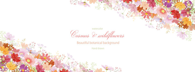 秋桜, コスモス, 花, 水彩, 秋, 背景, フレーム, 植物, カラフル, ベクター, イラスト © surface Change