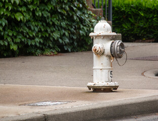 Fototapeta premium A white fire hydrant in the suburbs with rust.
