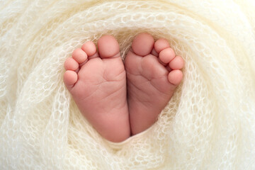The tiny foot of a newborn baby. Soft feet of a new born in a wool white blanket. Close up of toes,...