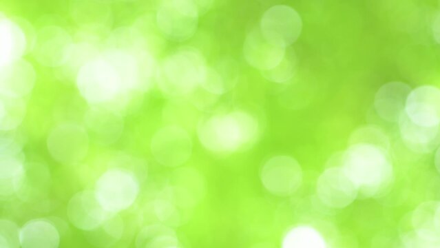 新緑の緑のボケ