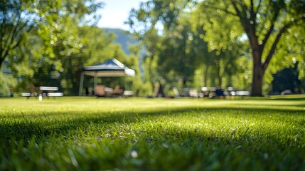 Sunlit Canopy Tent and Folding Furniture on a Spacious Green Camping Field