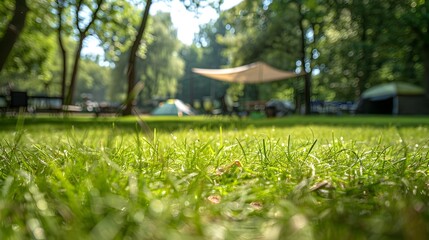 Sunlit Grass Field with Canopy Tent and Furniture on a Camping Site