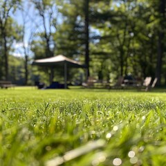 Sunny Camping Field with Canopy Tent and Folding Furniture