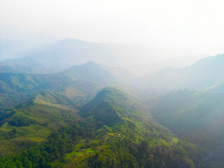 Contaminaci&oacute;n por quema de &aacute;rboles en la monta&ntilde;a de El Merend&oacute;n en Honduras